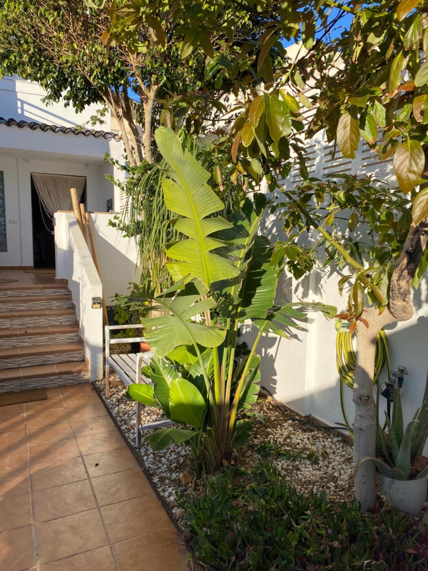 Casa Energia Del Cabo. San Jose Cabo De Gata. Villa Exterior foto
